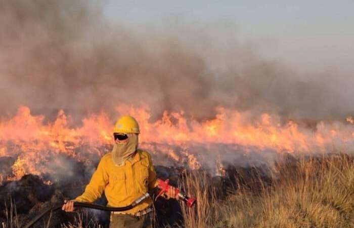 INCENDIOS: “HAY UNA DEMANDA SIN PRECEDENTES DE CAPACITACIONES Y ASESORAMIENTO”