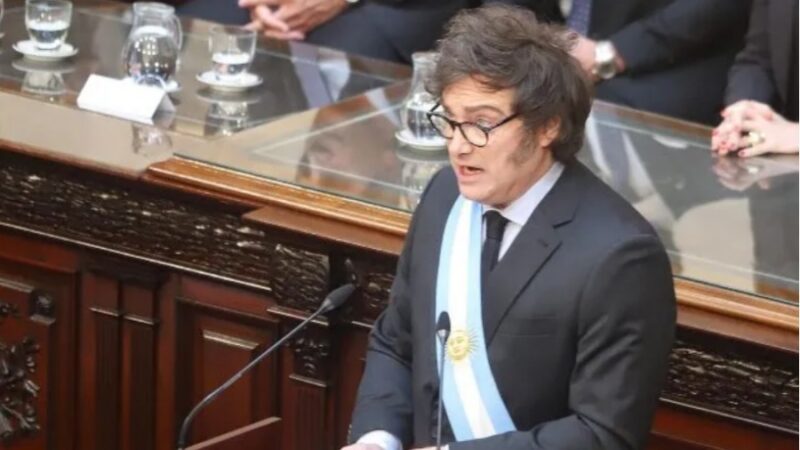 EMERGENCIA EN DISCAPACIDAD: EL PLAN B DEL GOBIERNO FRENTE AL CONGRESO Y EL FALLO DE LOS JURISTAS