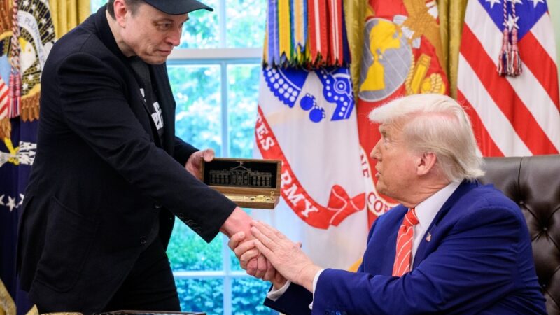 «LA HORA DE LOS DEPREDADORES»