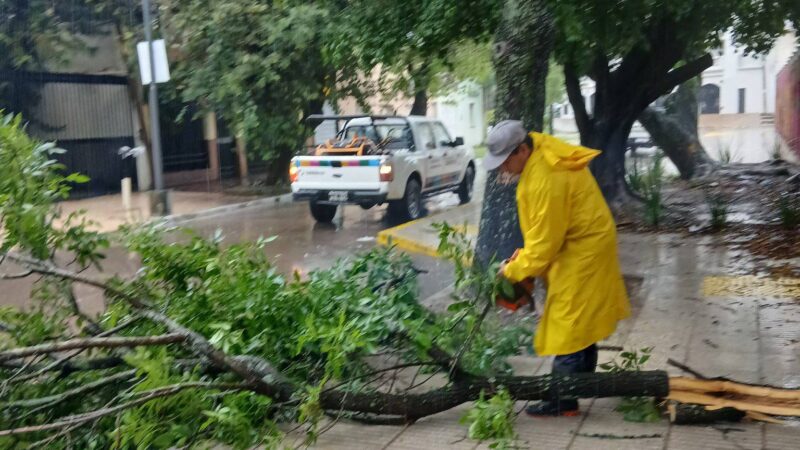 RÁPIDA RESPUESTA MUNICIPAL TRAS MÁS DE100 MILÍMETROS DE LLUVIA CAÍDOS EN POCAS HORAS